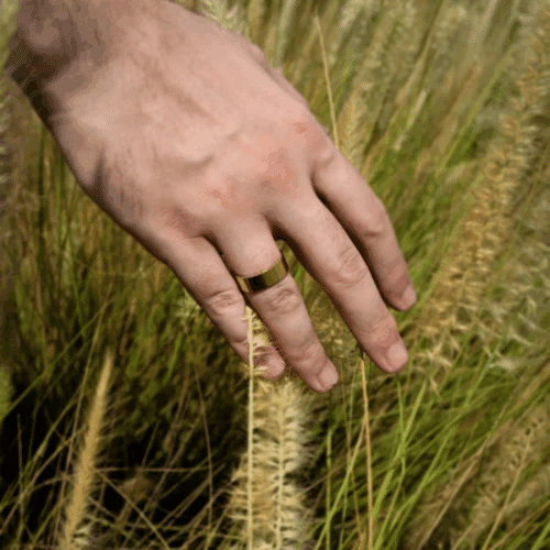 Calmi Ring (official Retailer) 2025